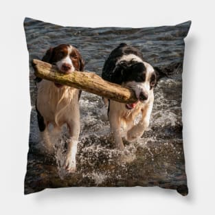 Springer Spaniels Working Together Pillow