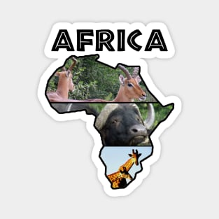 Africa Wildlife Continent Collage Magnet