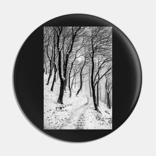 Winter Woods with Snow and Mist Pin