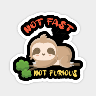 Not fast not furious, sloth, sleep Magnet