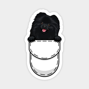 Pomeranian Dog Magnet