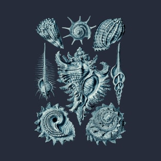 Ernst Haeckel Prosobranchia Sea Shells Cerulean T-Shirt