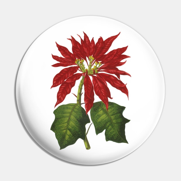 Vintage Christmas Poinsettia Plant Pin by MasterpieceCafe