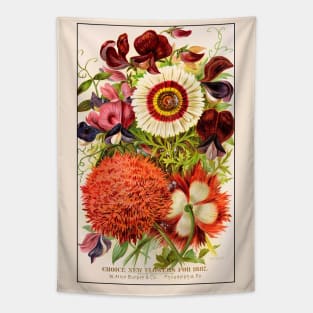 Burpee & Co Flower Seeds, 1887 Tapestry