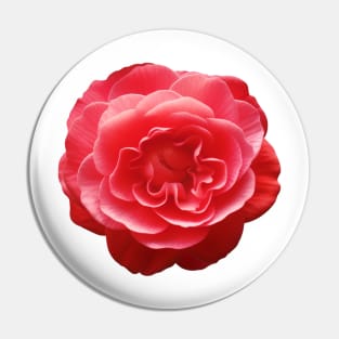 Red Camellia Flower Graphic Art Print Pin