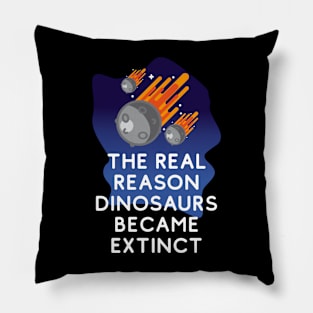 Why dinosaurs went extinct. Pillow