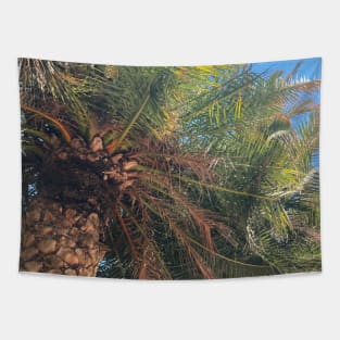 Pretty Palm Tree Photography design with blue sky nature lovers Tapestry