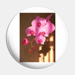 pink orchid flower Pin