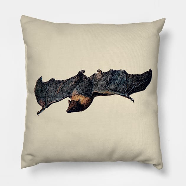 Bat Pillow by aimtrue