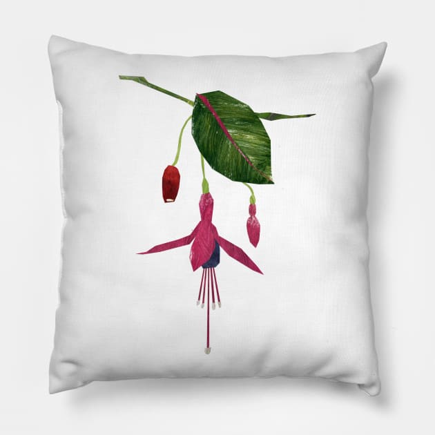 Fuchsia Pillow by Babban Gaelg