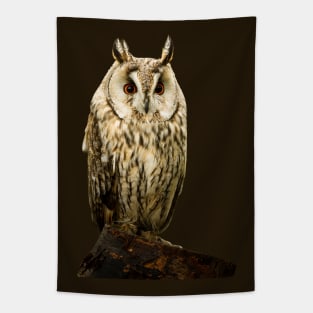 Long Eared Owl Tapestry