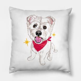 Sparkle Pillow