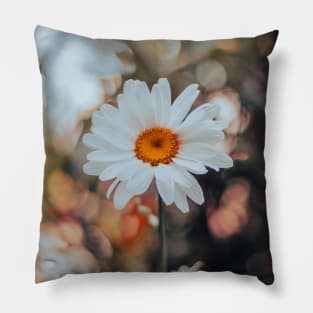 White Daisy Pillow