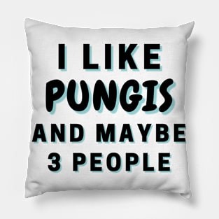 I Like Pungis And Maybe 3 People Pillow