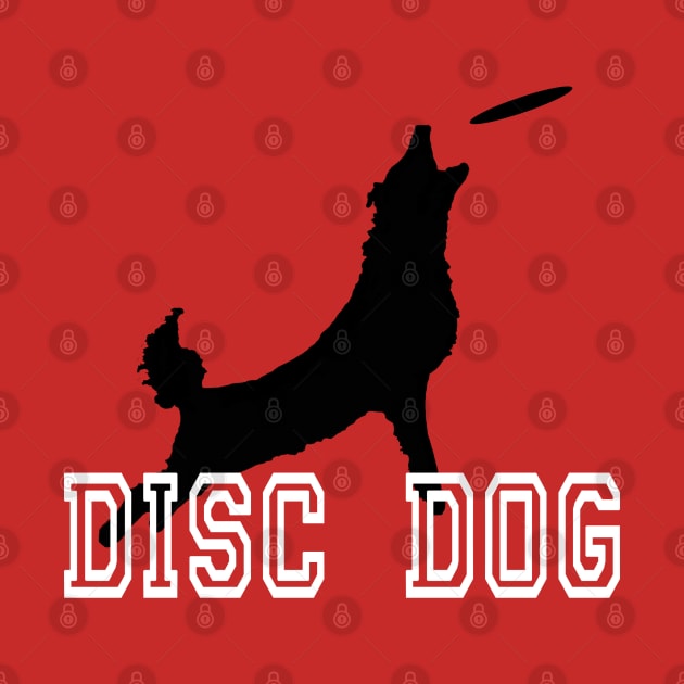 Border Coillie Disc Dog by Imp's Dog House