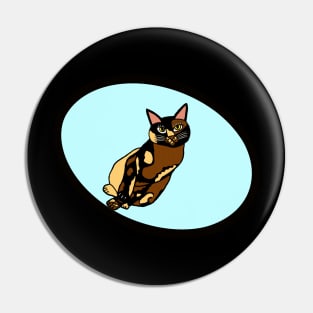 Damien's Kitty Cat Pin