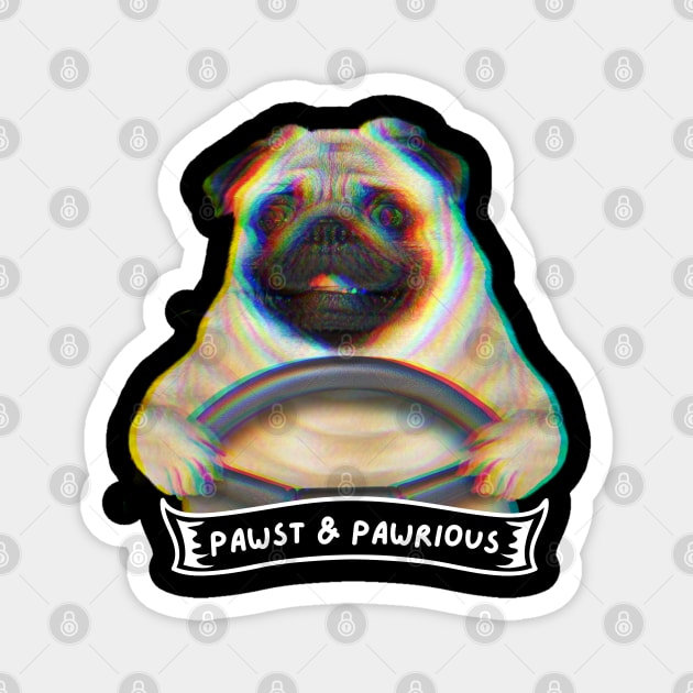 driving pug Magnet by Yas R