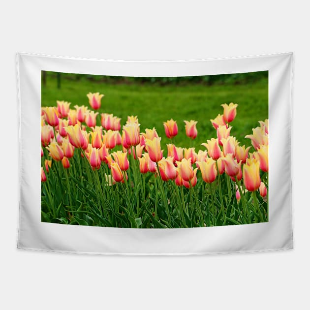 Orange yellow Tulips Tapestry by ikshvaku