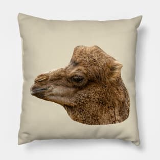 Bactrian Calf Pillow