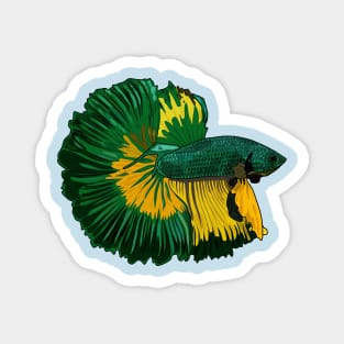 Siamese fighting fish cartoon illustration Magnet