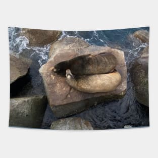 Sea Lion Friends Tapestry