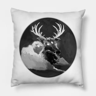 Eye of the Storm BW Pillow