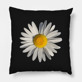 A Daisy A Day Pillow