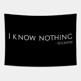 I Know Nothing - Socrates Quote - Ancient Greek Philosophy Tapestry