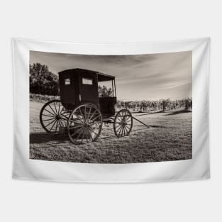 Old Horse Buggy 3 Tapestry