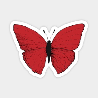 Big beautiful red butterfly. Magnet