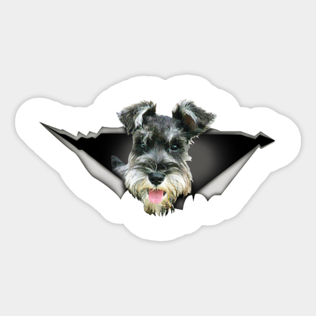 Schnauzer Car Sticker Dog Car Decal Schnauzer Decal Car Etsy