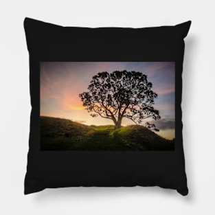 Lone tree Pillow