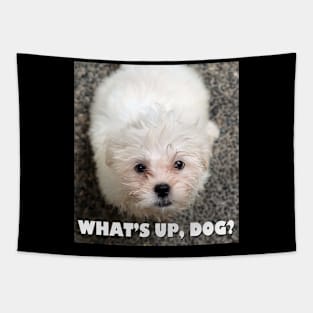 What's up, dog? Tapestry