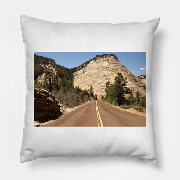 A SALE - AND A SINCERE THANK YOU FOR THE PURCHASE Pillow by PrinceJohn