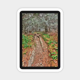 Frosted Appalachian Trail Magnet