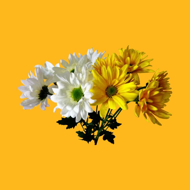 Daisies - Bouquet of Yellow and White Daisies by SusanSavad