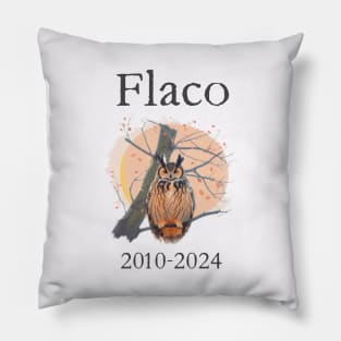 Flaco 2010-2024 Pillow