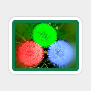 Three Dandelions Magnet