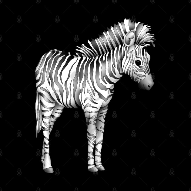 Cute Baby Zebra by Zodiart