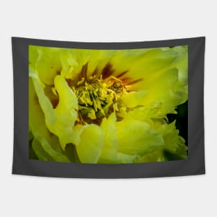 Yellow Garden Peony 3 Tapestry