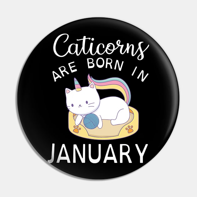 Caticorns Are Born In January Happy Birthday To Me You Pin by Cowan79