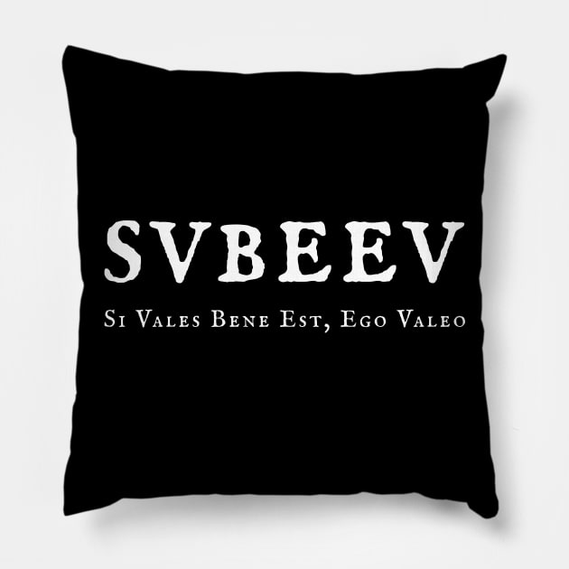 SVBEEV ("If you are well all is well, and I am well too") Pillow by soitwouldseem