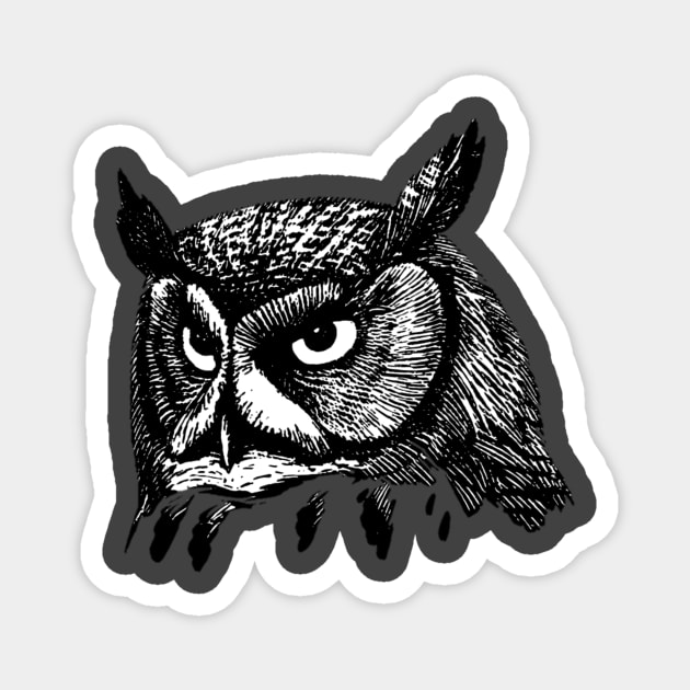 Owl Magnet by DeviAprillia_store