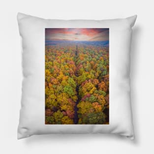 Aerial top down vertical panorama of road through the autumn forest Pillow