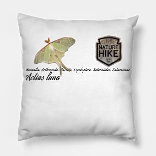 Luna Moth Taxonomy Pillow