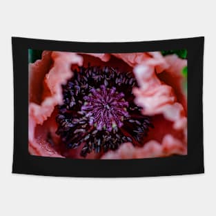 Oriental Poppy Tapestry