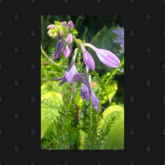 A Tender Moment of Precious Purple Wild Flower by Photomersion