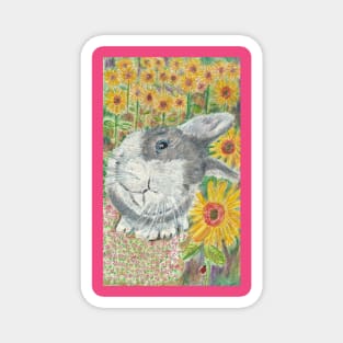 Rabbit easter spring Magnet