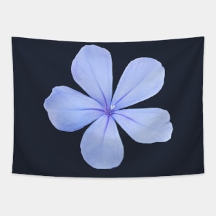 Pale Blue Floral with BACK PRINT Tapestry