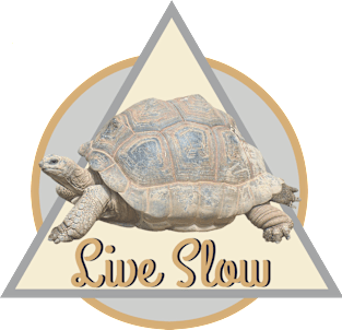 Tortoise and "Live Slow" Text Magnet